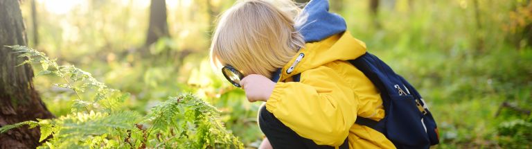 Young child looking closely at fern
